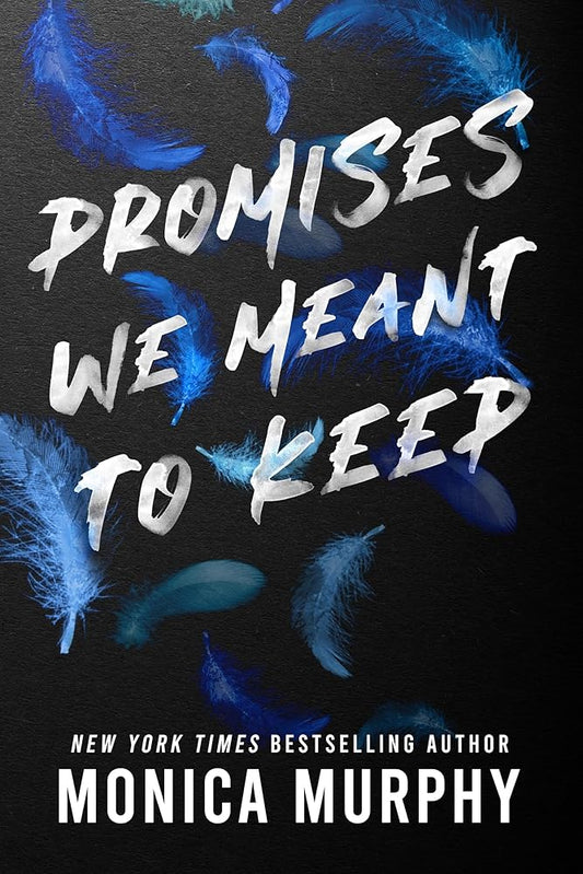 Promises We Meant to Keep: 3 cover image